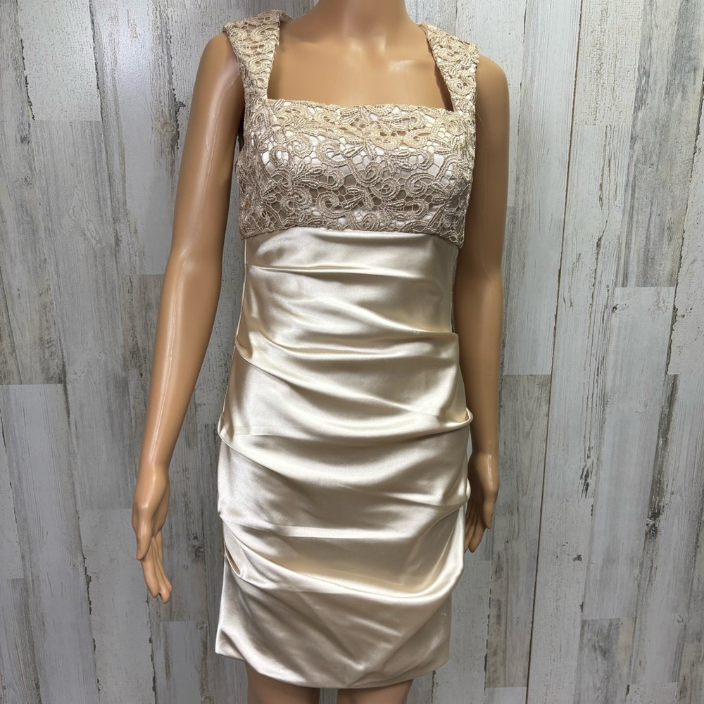 Hailey‎ Lace and Satin Ruched Bodycon Dress
